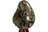Septarian Dragon Egg Geode - Black Crystals #111231-2